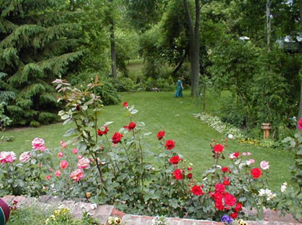 Dorchester House Bed and Breakfast Niagara Falls Exterior foto