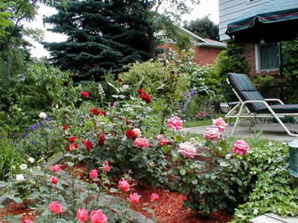 Dorchester House Bed and Breakfast Niagara Falls Exterior foto